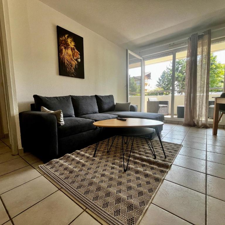 Orée du Saleve Proche Genève Balcon et Parking - Appartement 1 Chambre - 3