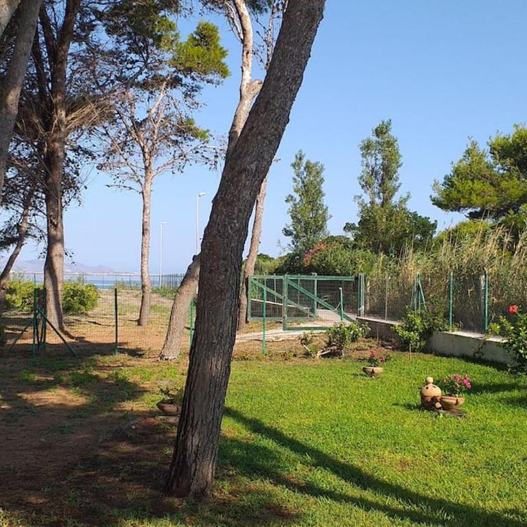 Villa Mozia riserva dello Stagnone - Villa - 6