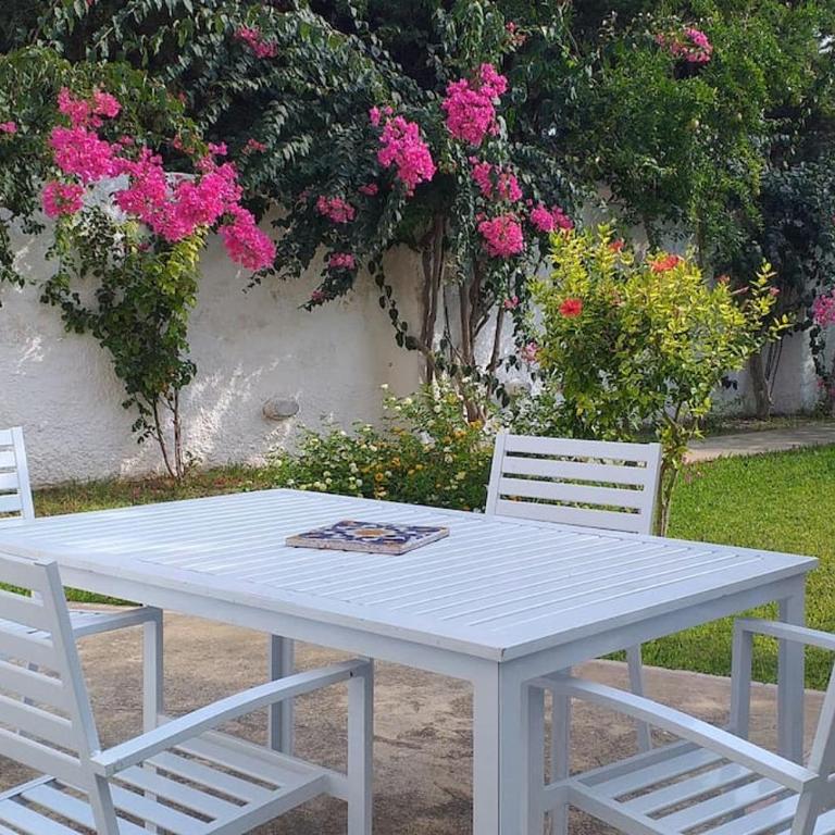 Villa Mozia riserva dello Stagnone - Villa - 16