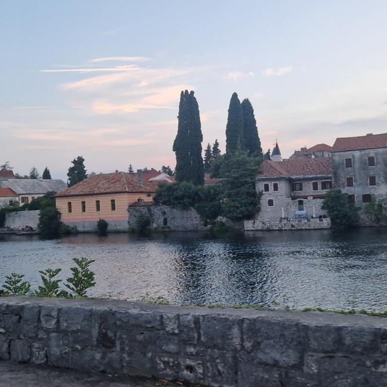 Plava orhideja apartman - Apartman sa 1 Spavaćom Sobom - 15