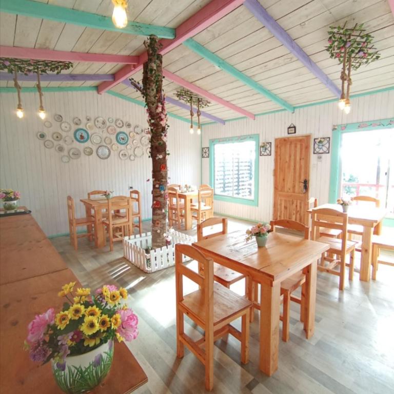 Tiny houses temáticas en medio del bosque el jardín del chucao - Apartamento de 2 dormitorios - 3