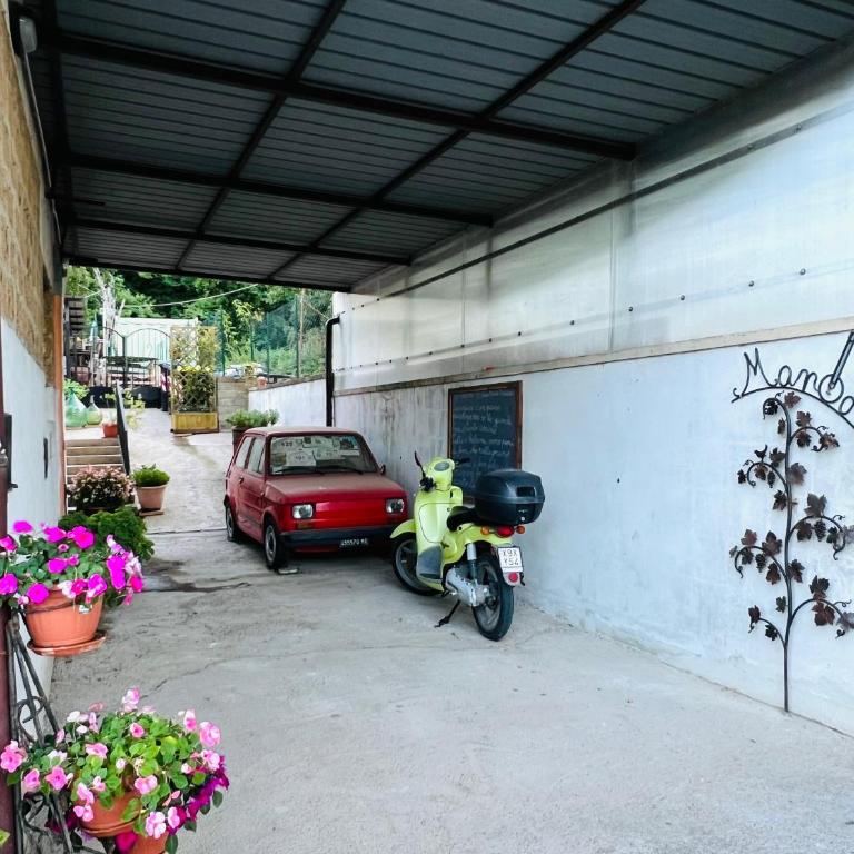 Casa vacanze il Mandolino tra Orvieto e Bolsena - Appartamento con 1 Camera da Letto - 42