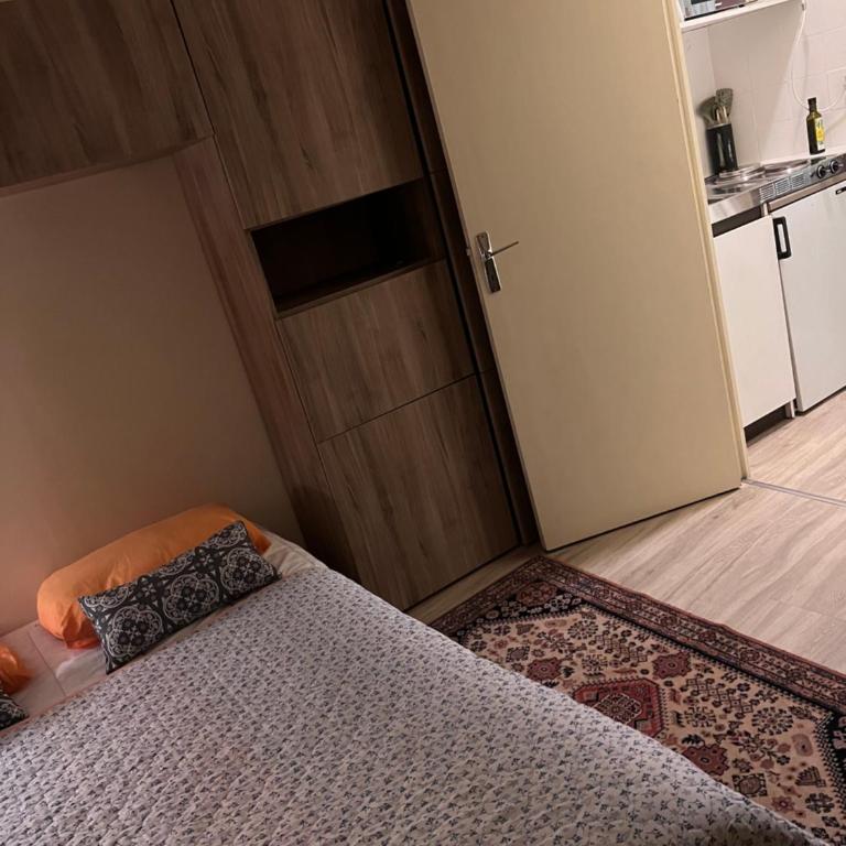 LE SPLENDID - Hypercentre - Proche Opéra & Parcs - Thermes - Appartement 1 Chambre - 58