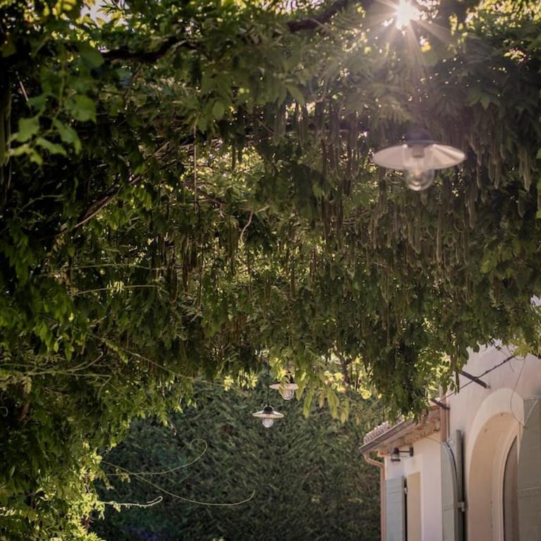 Villa Domitia Splendid View 5mn walk from center of Saint Remy - Villa - 36