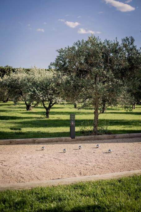 Villa Domitia Splendid View 5mn walk from center of Saint Remy - Villa - 39