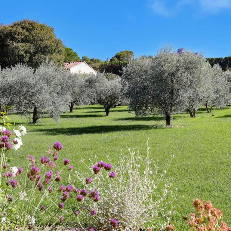 Villa Domitia Splendid View 5mn walk from center of Saint Remy - Villa - 48
