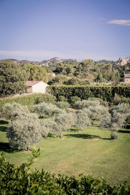 Villa Domitia Splendid View 5mn walk from center of Saint Remy - Villa - 75