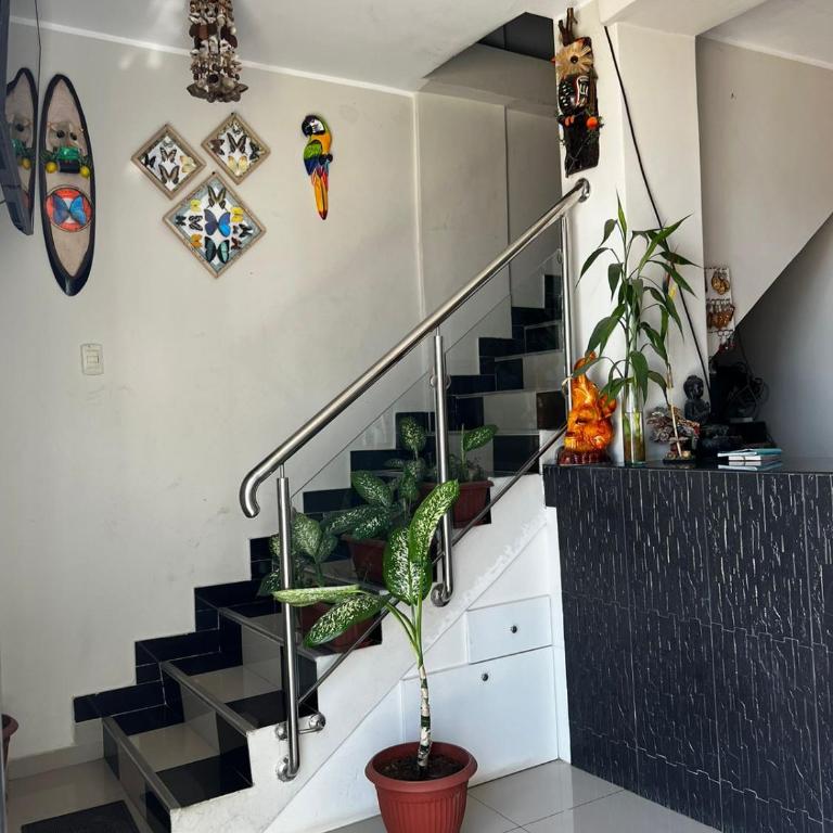 Quinto Rey - Apartamento de 1 dormitorio - 10