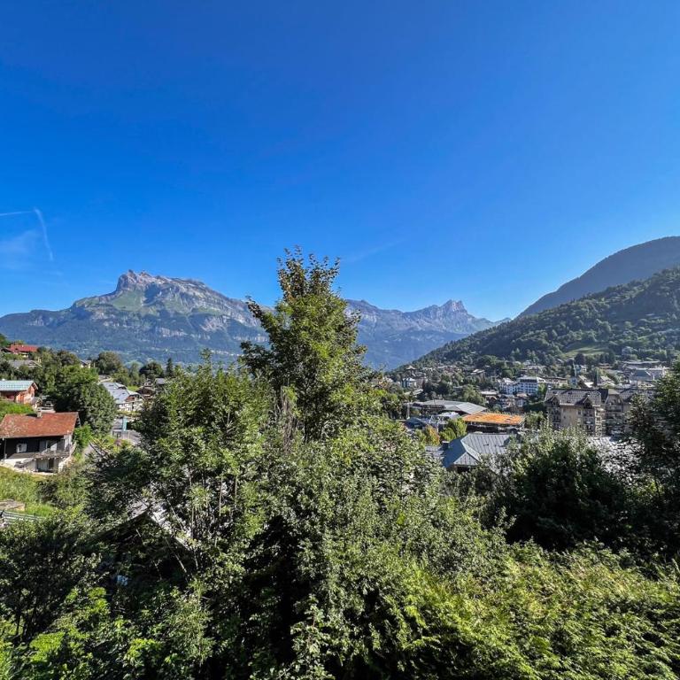 Charming T2 in Saint-Gervais-les-Bains - Appartement - 10