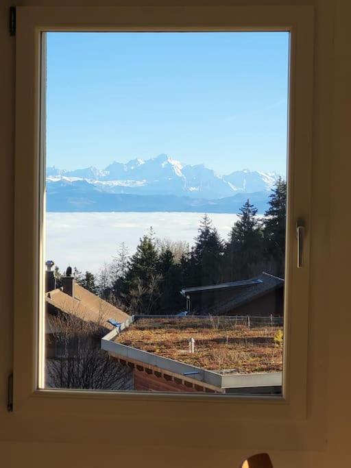Mountain Lake View Deluxe - Apartment mit 2 Schlafzimmern - 23