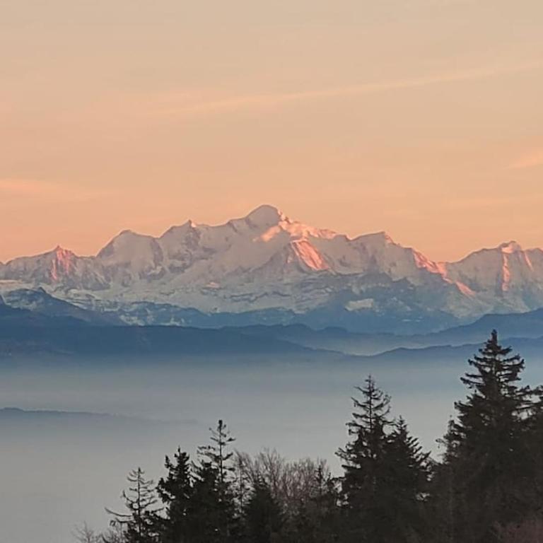 Mountain Lake View Deluxe - Apartment mit 2 Schlafzimmern - 15