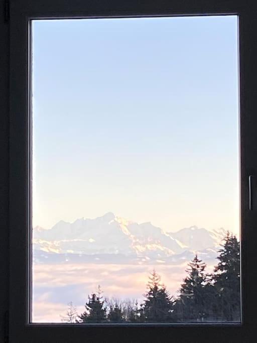 Mountain Lake View Deluxe - Apartment mit 2 Schlafzimmern - 18
