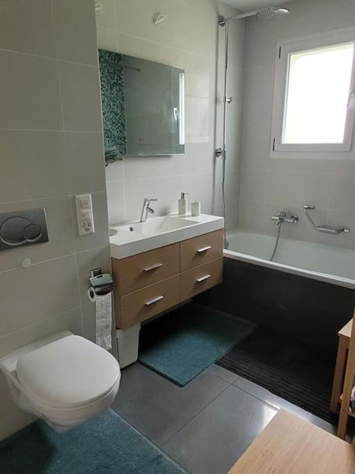 Mountain Lake View Deluxe - Apartment mit 2 Schlafzimmern - 12