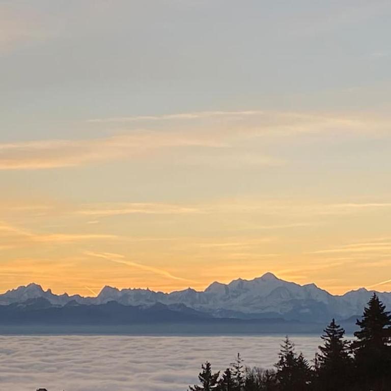Mountain Lake View Deluxe - Apartment mit 2 Schlafzimmern - 13