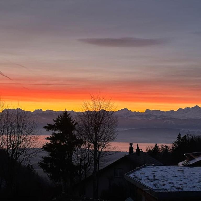 Mountain Lake View Deluxe - Apartment mit 2 Schlafzimmern - 11