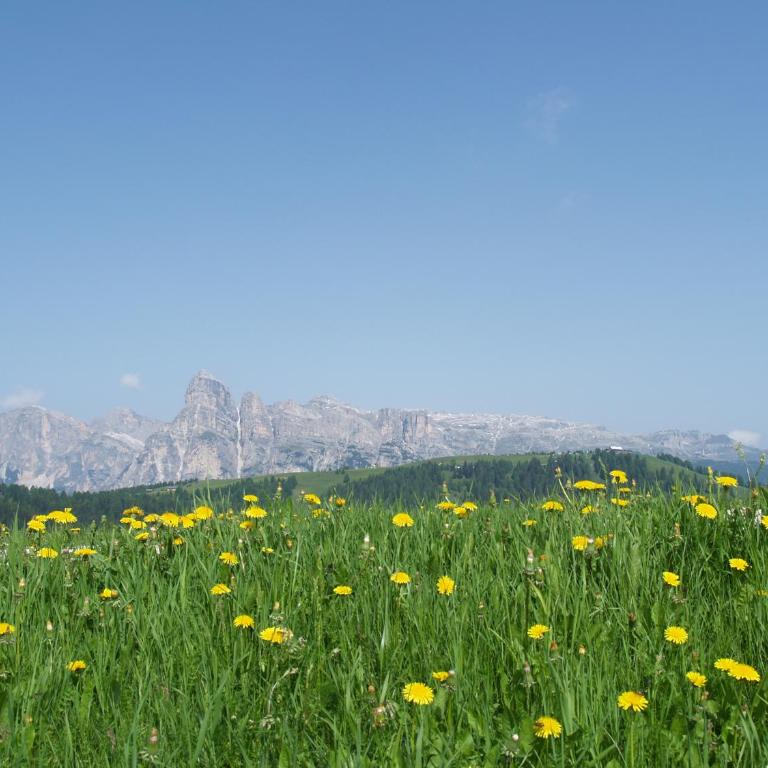 Residence Vajolet San Cassiano - Deluxe Apartment - 7