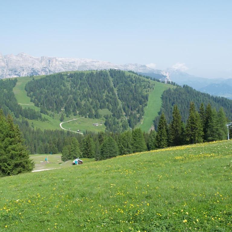 Residence Vajolet San Cassiano - Superior Apartment - 8
