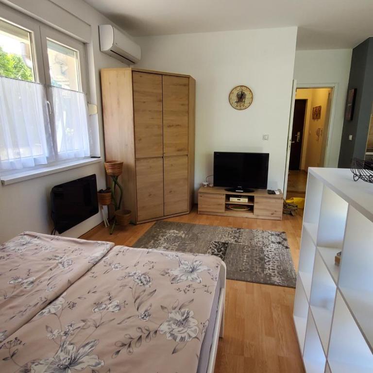 Apartman LiBra - Studio sa Balkonom - 9