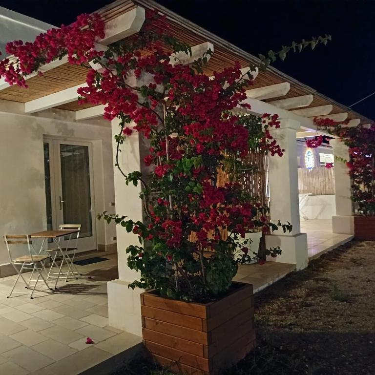 Villa Susca - villa sul mare - Villa con Vista Mare - 64