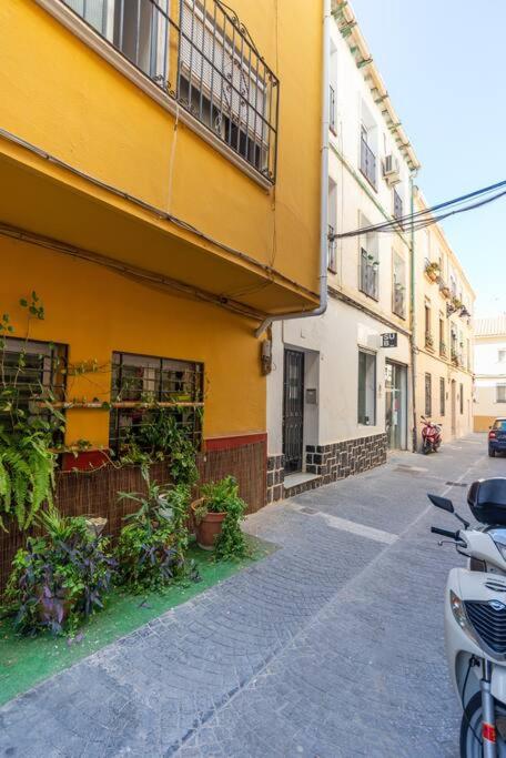 3 Bedroom Flat in Historic Centro - Apartamento de 3 dormitorios - 17