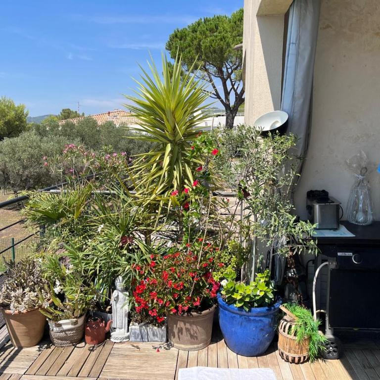 Appart, vue mer exceptionnelle à sanary, à pied 10mn criques et plage - Appartamento con 1 Camera da Letto, Balcone e Vista Mare - 17