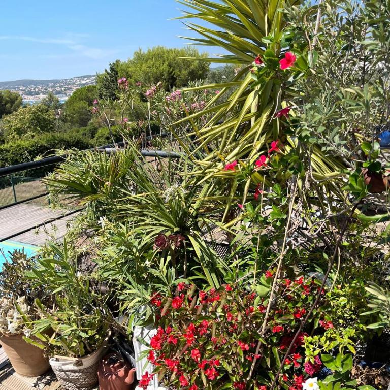 Appart, vue mer exceptionnelle à sanary, à pied 10mn criques et plage - Appartamento con 1 Camera da Letto, Balcone e Vista Mare - 18