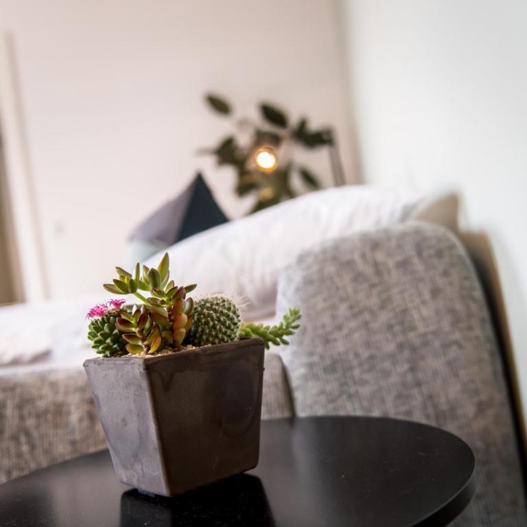 ANDERS City Loft - Apartment mit 1 Schlafzimmer - 14