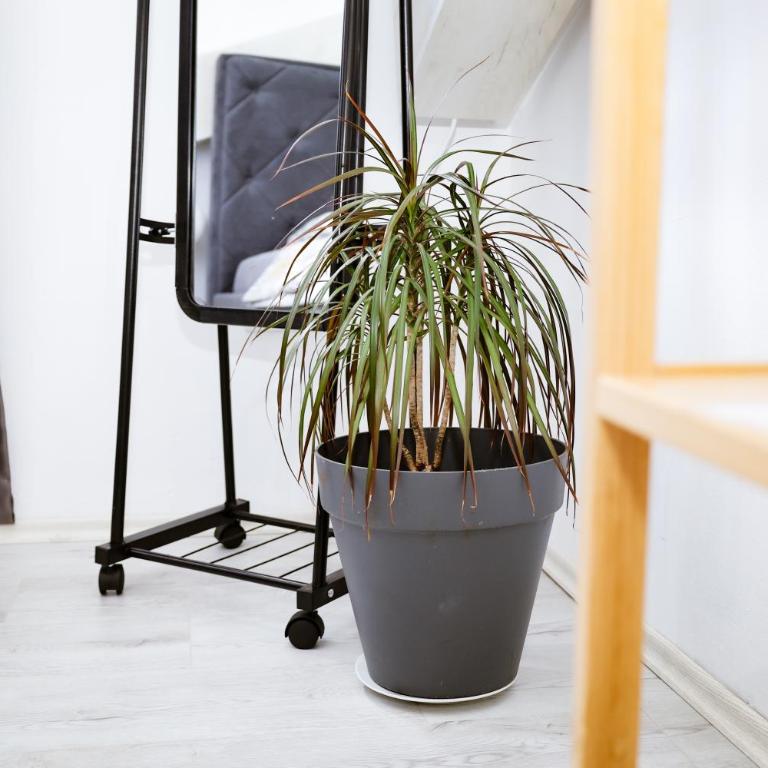 Lola apartman - Apartman sa 1 Spavaćom Sobom - 20