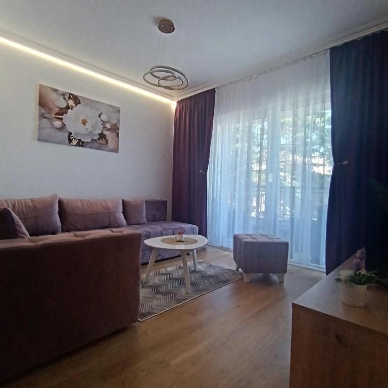 Apartman Tole Divčibare Kota 992 - Apartman sa 1 Spavaćom Sobom - 3