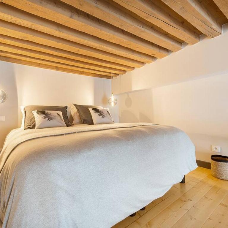 Concerto Royal Duplex Top Centre, Lyon 1er - Appartement 1 Chambre - 3