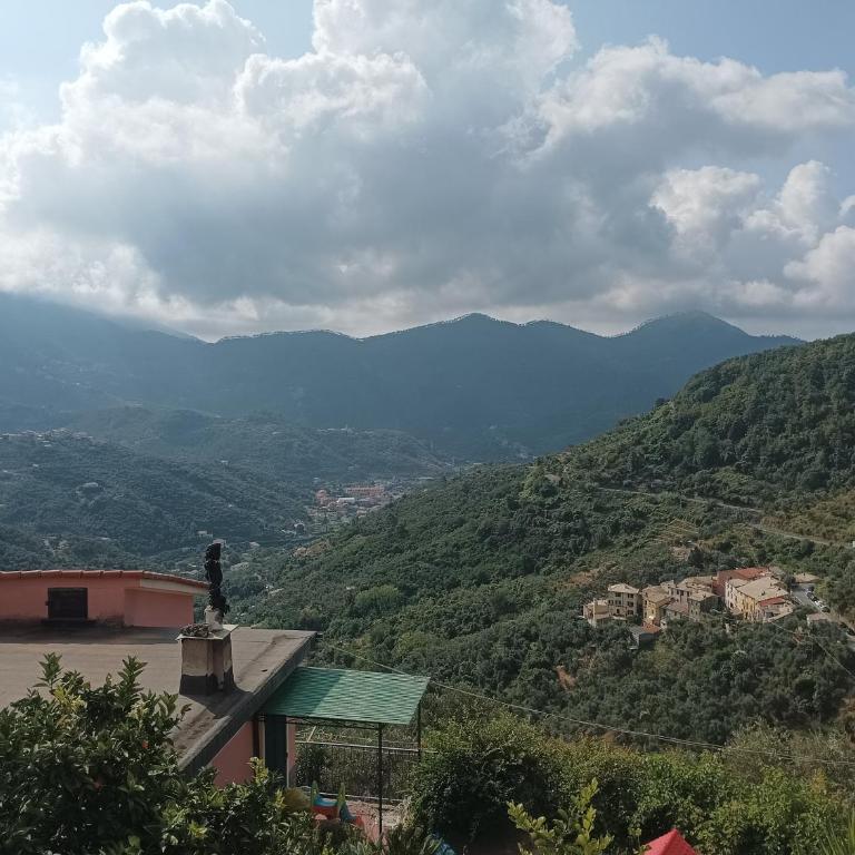 CASA LORENZO SULLE COLLINE DI LEVANTO e VICINO ALLE CINQUETERRE LT-0620 - Appartamento - 15