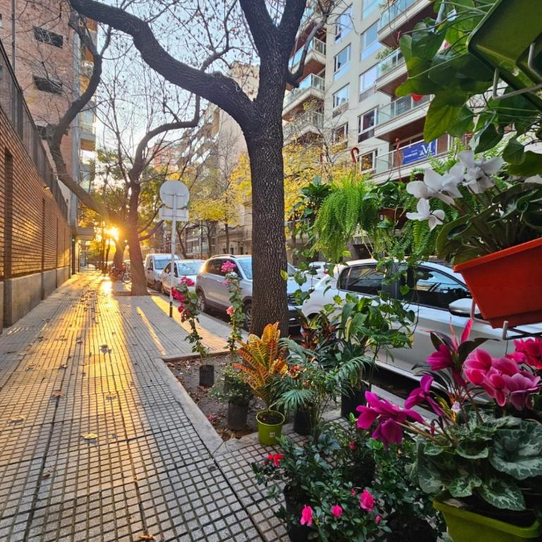 Apartamento en Recoleta - Superior Apartment - 39