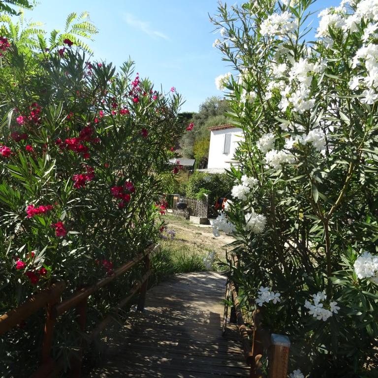 Les Ecrins d'Aix-en-Provence - Studio - 25