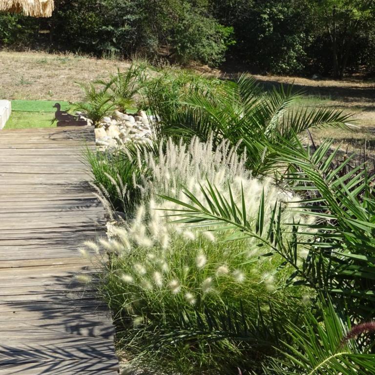Les Ecrins d'Aix-en-Provence - Studio - 26
