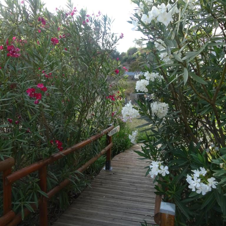 Les Ecrins d'Aix-en-Provence - Studio - 28