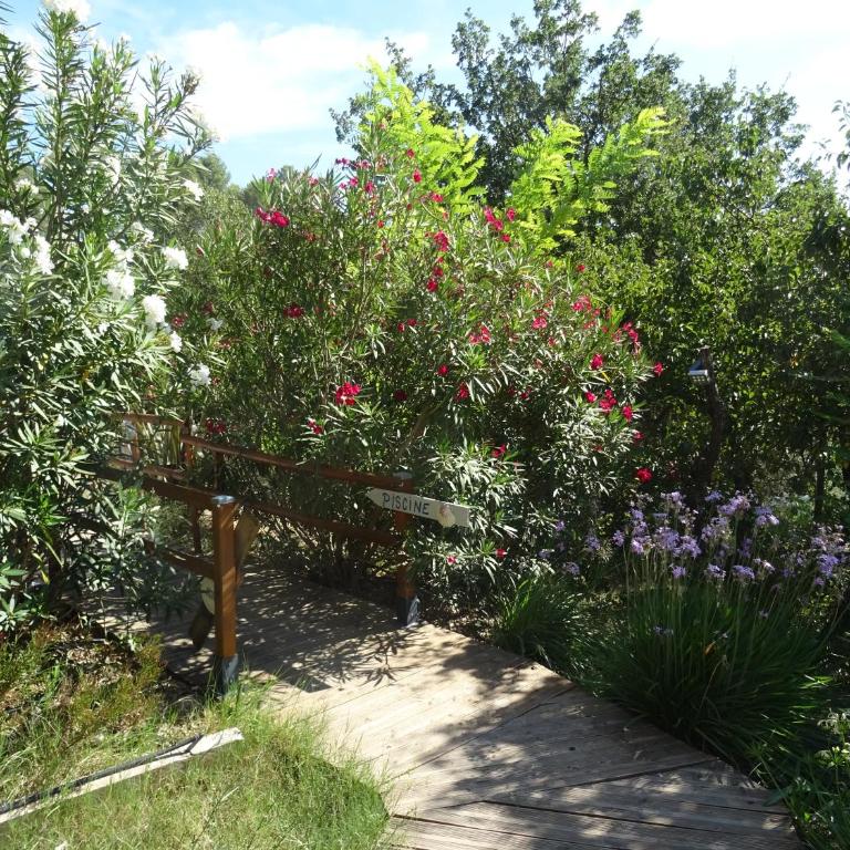 Les Ecrins d'Aix-en-Provence - Studio - 33