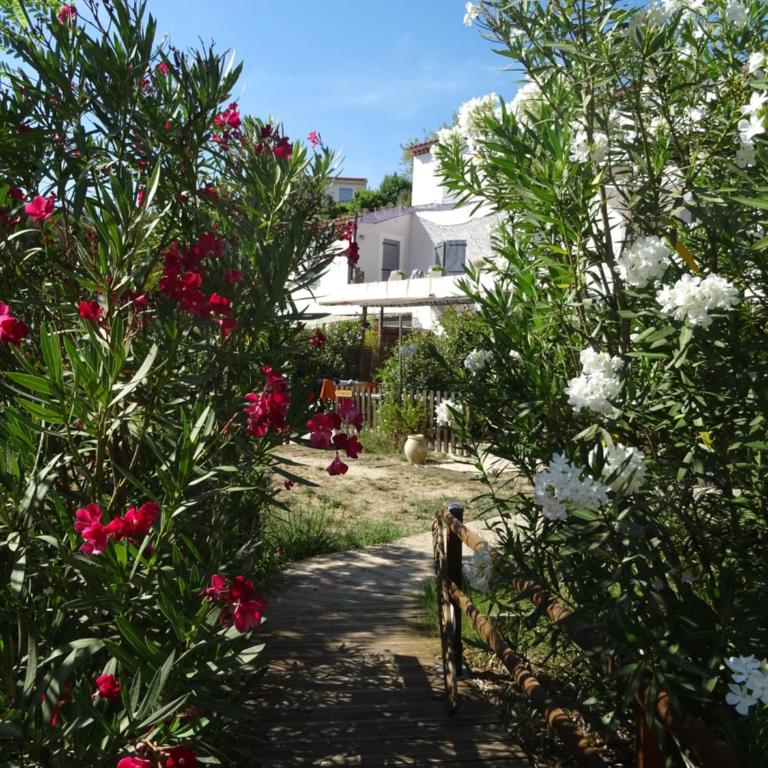 Les Ecrins d'Aix-en-Provence - Studio - 37