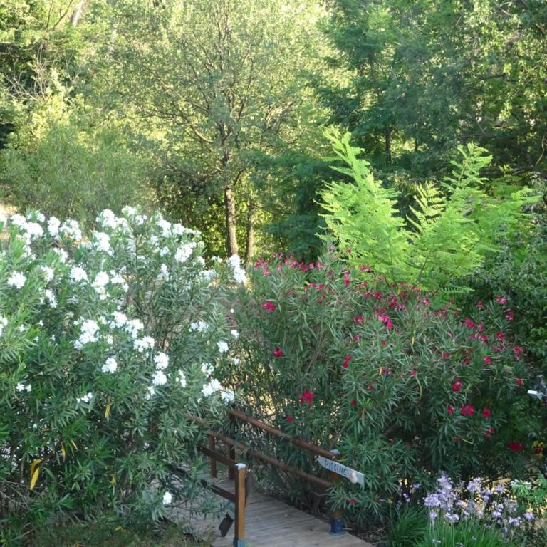 Les Ecrins d'Aix-en-Provence - Studio - 45