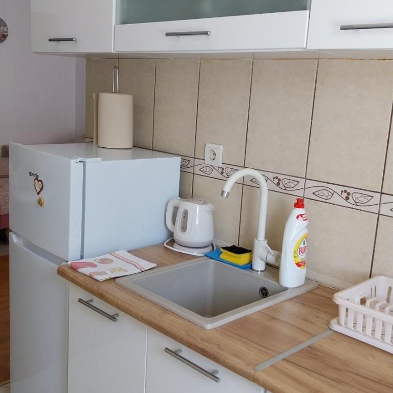 Apartment Milica - Apartment with Balcony - 16