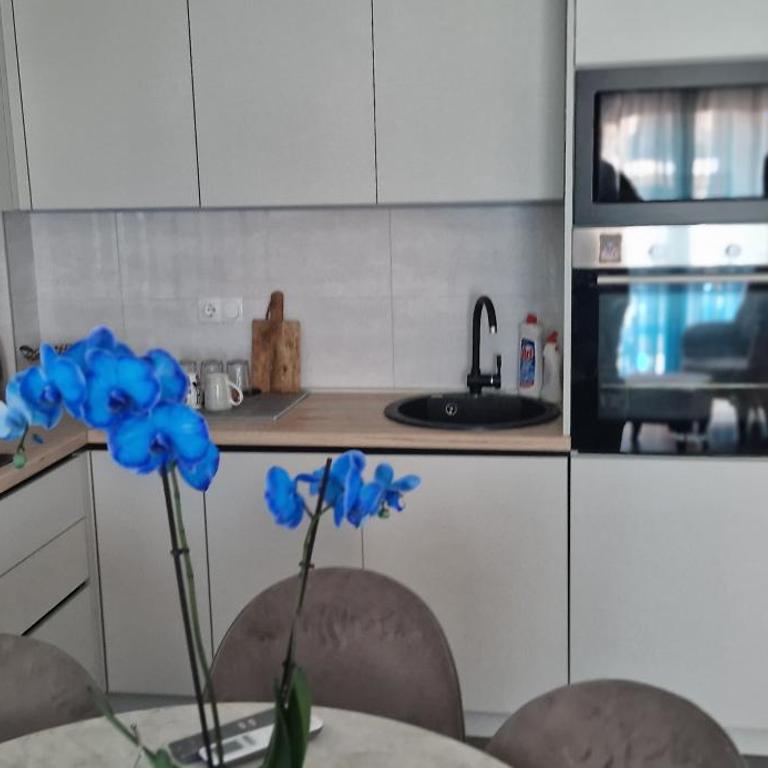 Plava orhideja apartman - Apartman sa 1 Spavaćom Sobom - 21