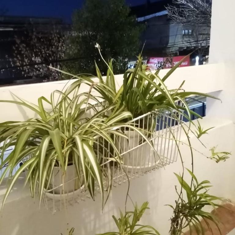 La Puerta Roja - Apartamento de 2 dormitorios - 15