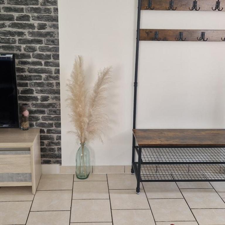 Appartement cosy spacieux parking gratuit en face - Apartment mit 1 Schlafzimmer - 13
