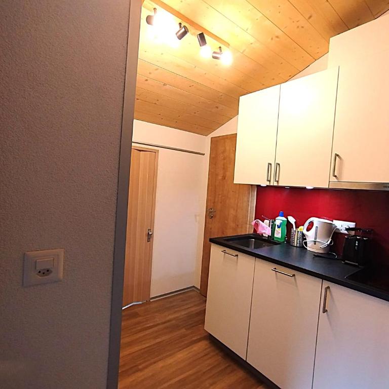 Haus Zur Mühle - Apartment mit 2 Schlafzimmern und Dusche - 14