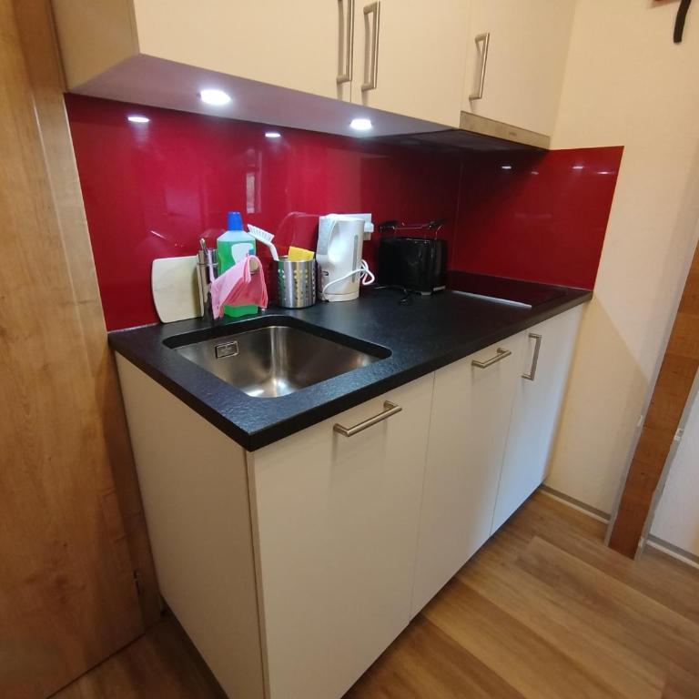 Haus Zur Mühle - Apartment mit 2 Schlafzimmern und Dusche - 16