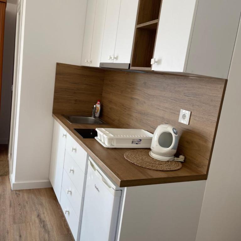 Apartments Hollaj - Studio Apartman sa Pogledom na More - 16