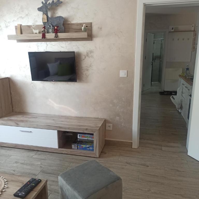 Apartman Maksimović Divčibare - Apartman s 1 Spavaćom Sobom i Terasom - 12