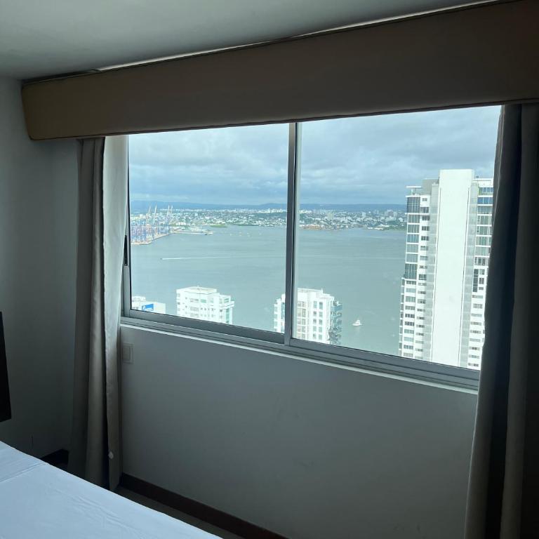 Palmetto Suite Superior 3901 - Apartamento - 48