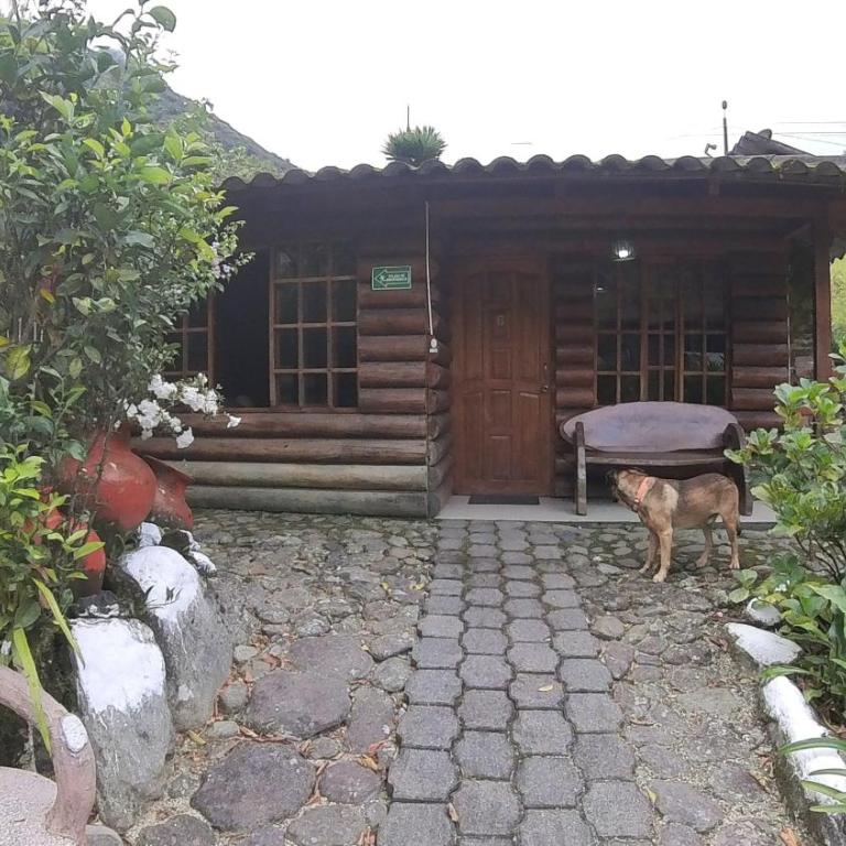 Hosteria Rio Verde - Two-Bedroom Chalet - 8
