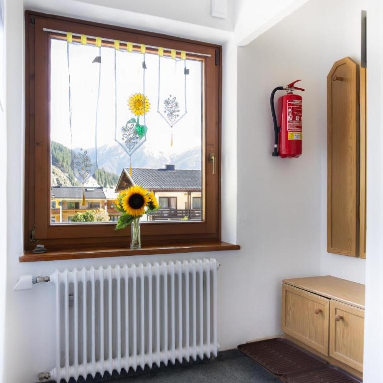 Appartement Schareckblick - Appartamento con doccia - 49