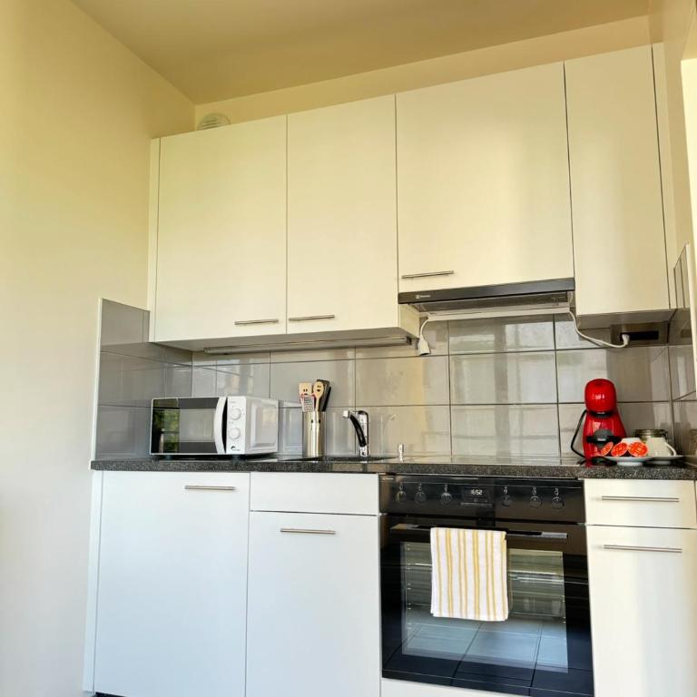 Modernité et confort à Genève - Appartement 1 Chambre - 7